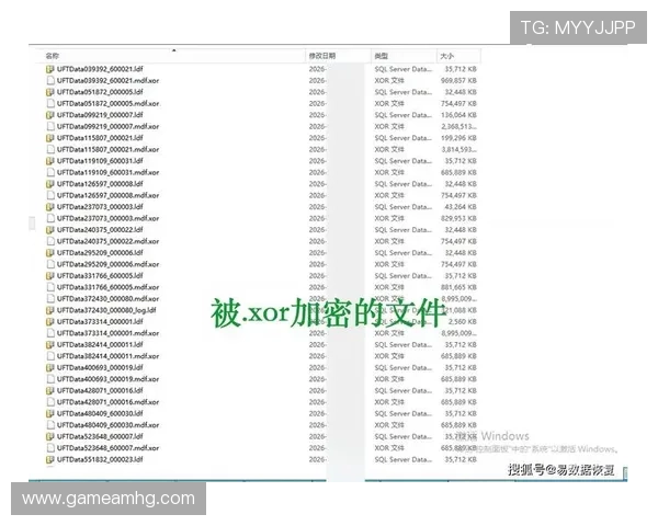 皇冠网页版登录账号密码忘记恢复指南，轻松找回你的游戏账号